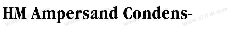 HM Ampersand Condens字体转换